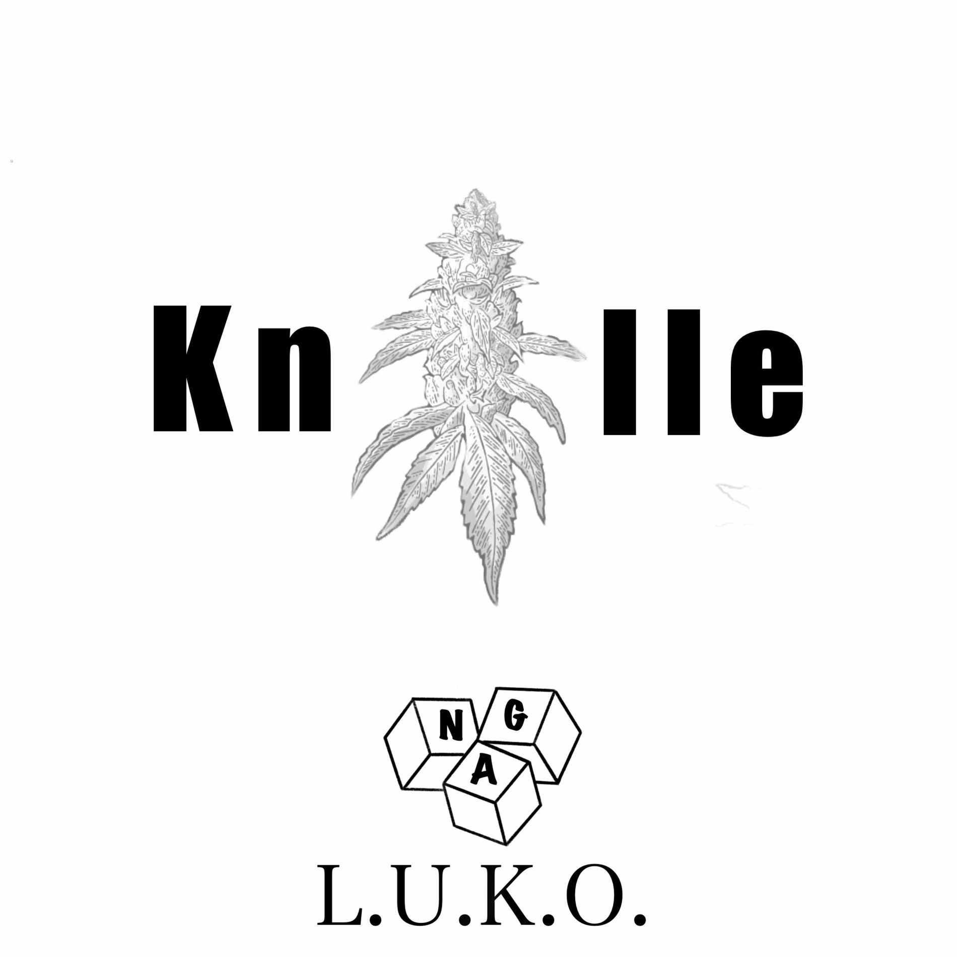 Album cover of Knolle (feat. NAG)