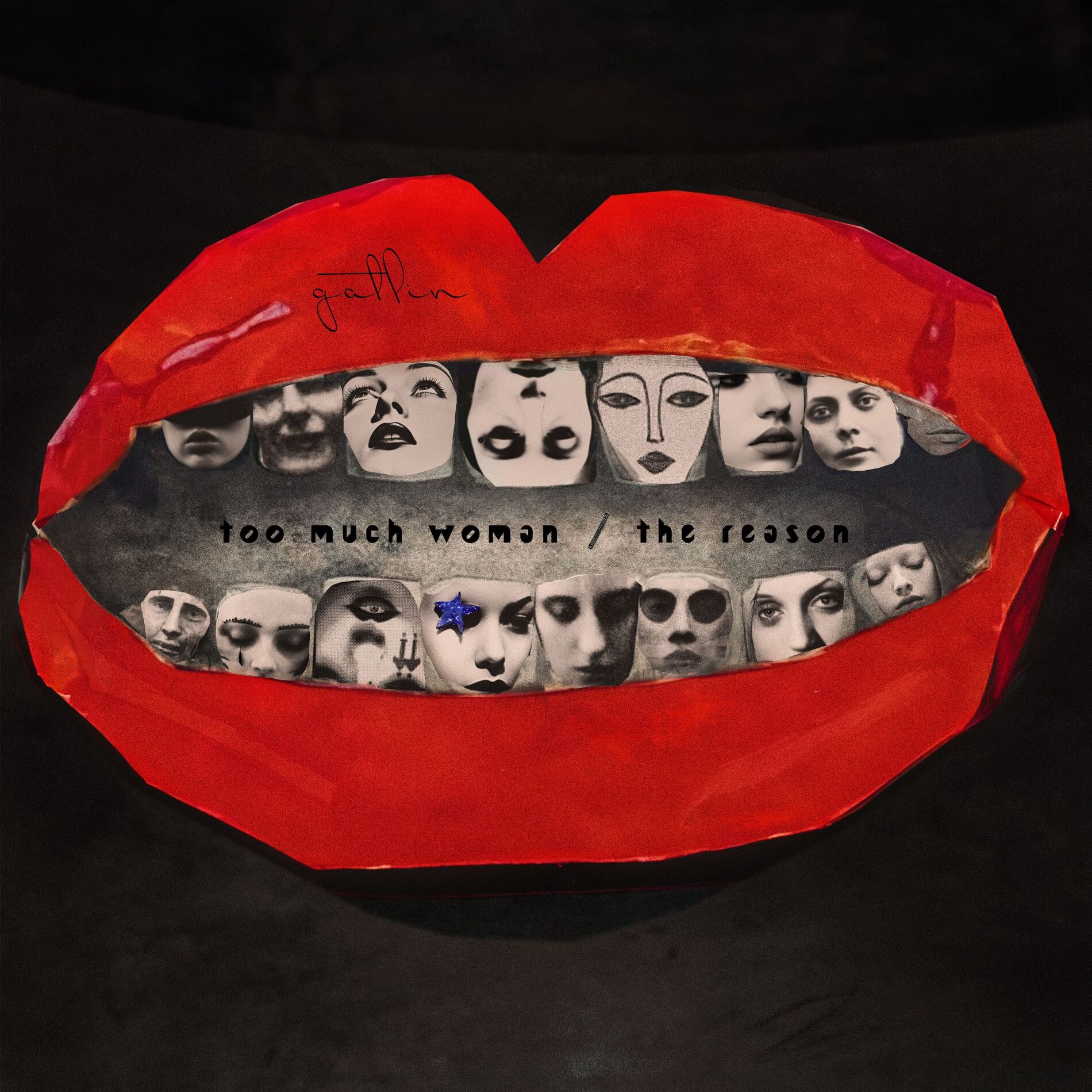 Album cover of Too Much Woman / The Reason