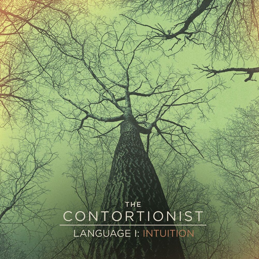 Picture of Language I: Intuition