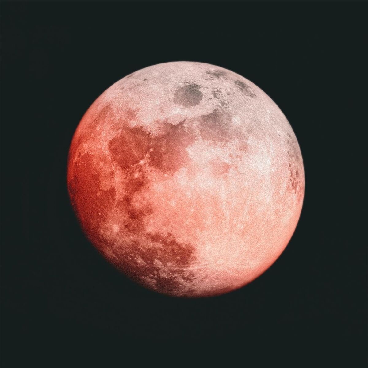 Album cover of Certified