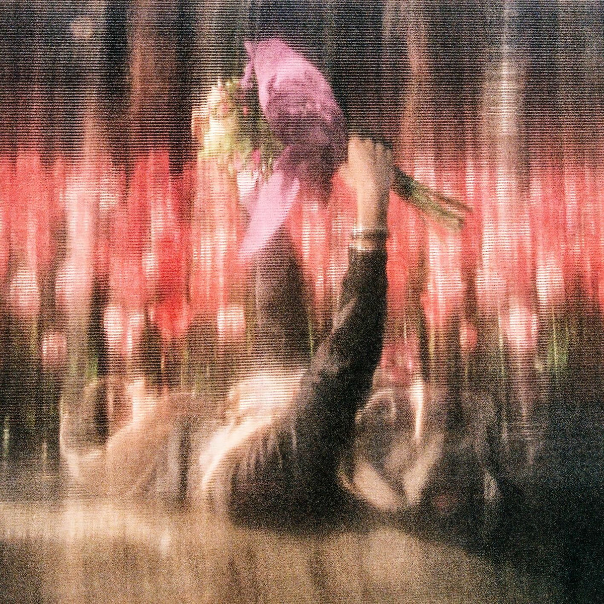 Album cover of SUPERBLOOM