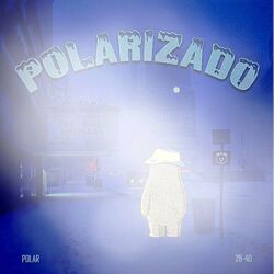 Cover of Polarizado