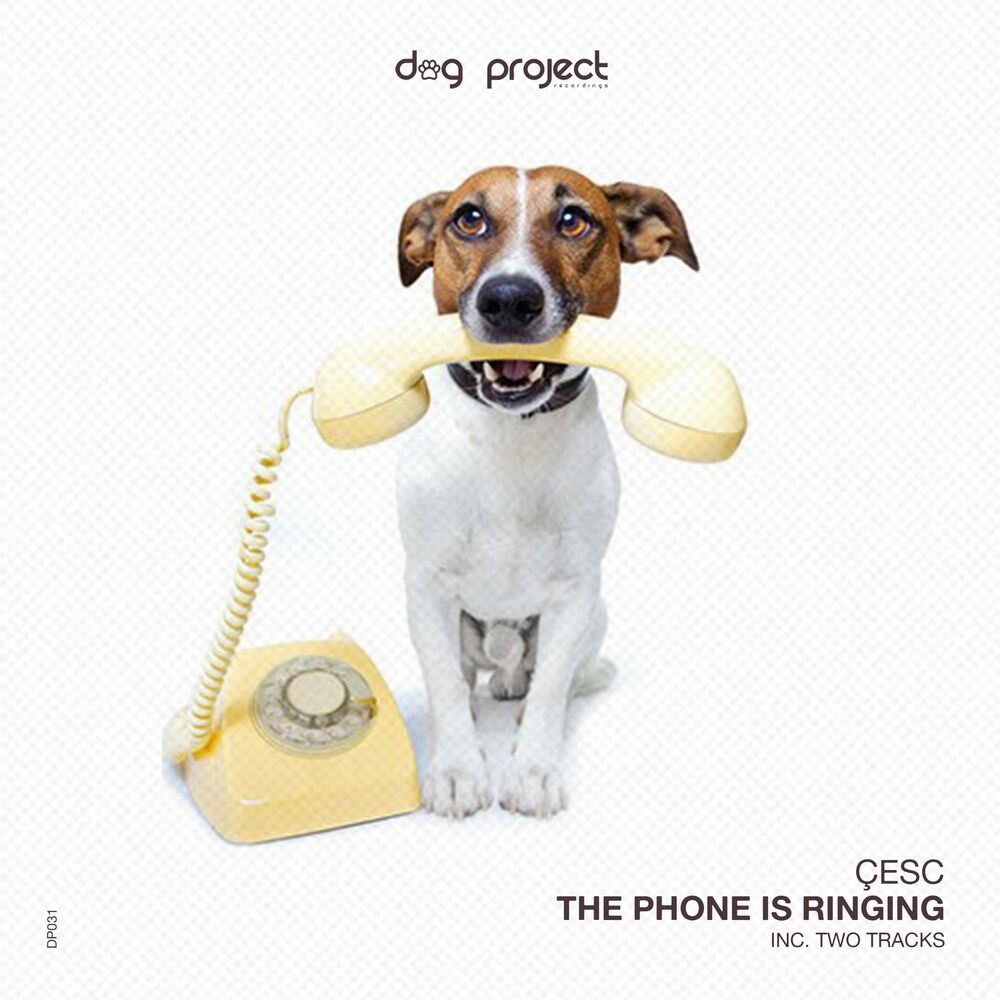 Picture of The Phone Is Ringing EP