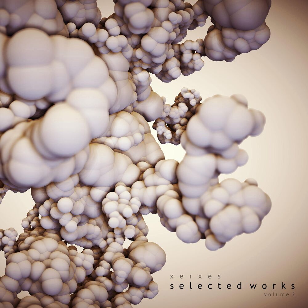 Picture of Selected Works Volume 2