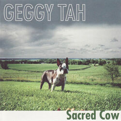 Cover of Sacred Cow