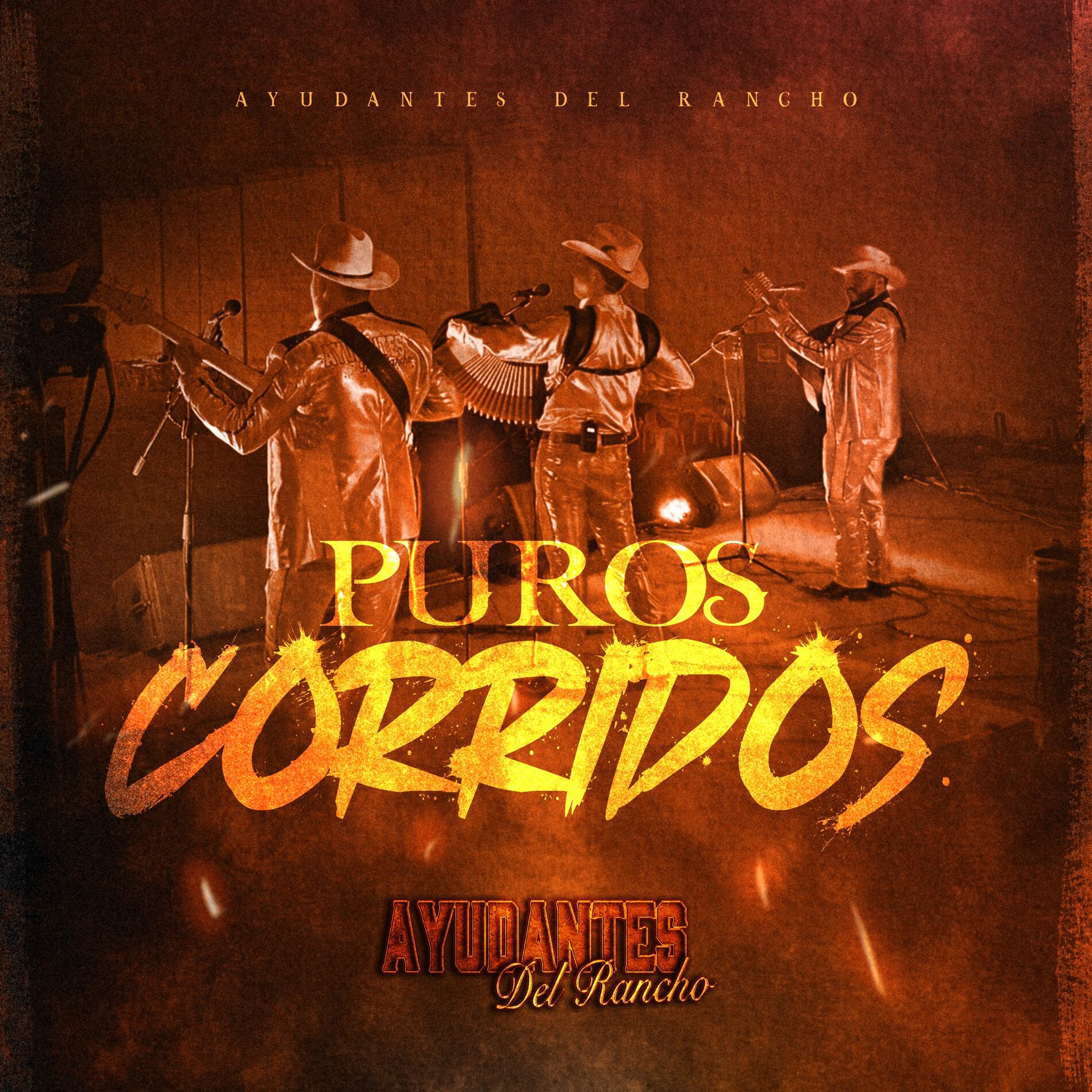 Album cover of Puros Corridos