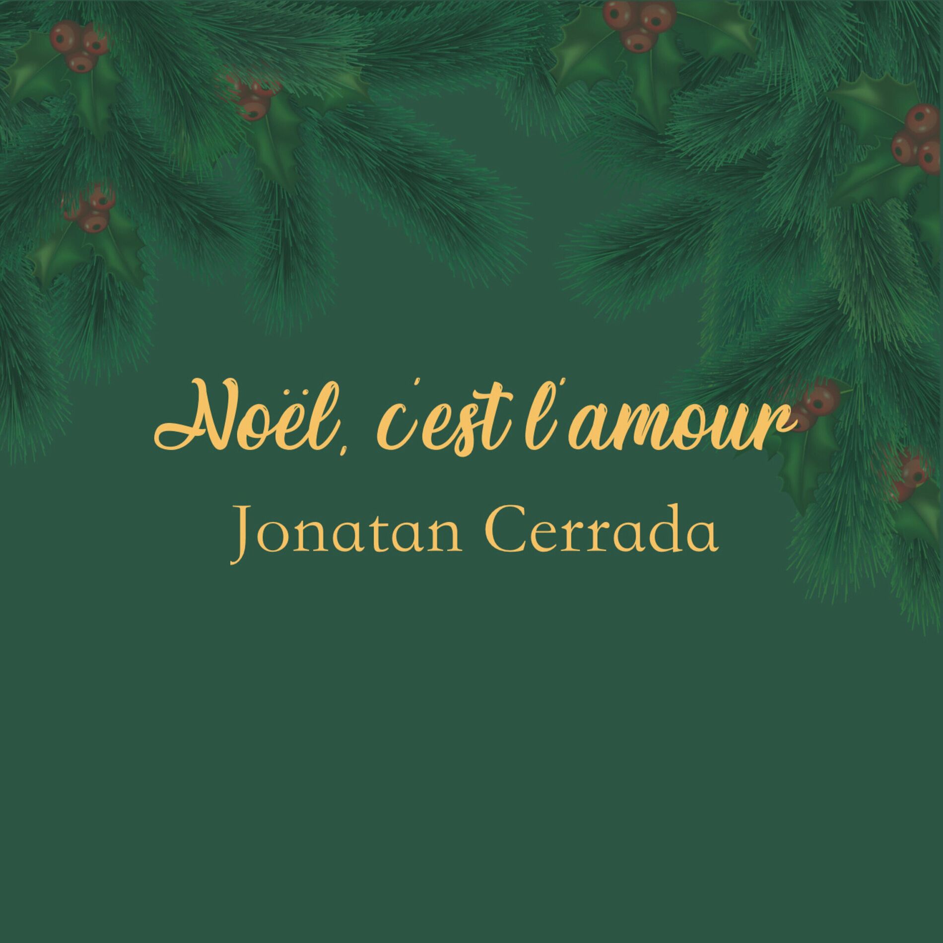 Album cover of Noël c'est l'amour