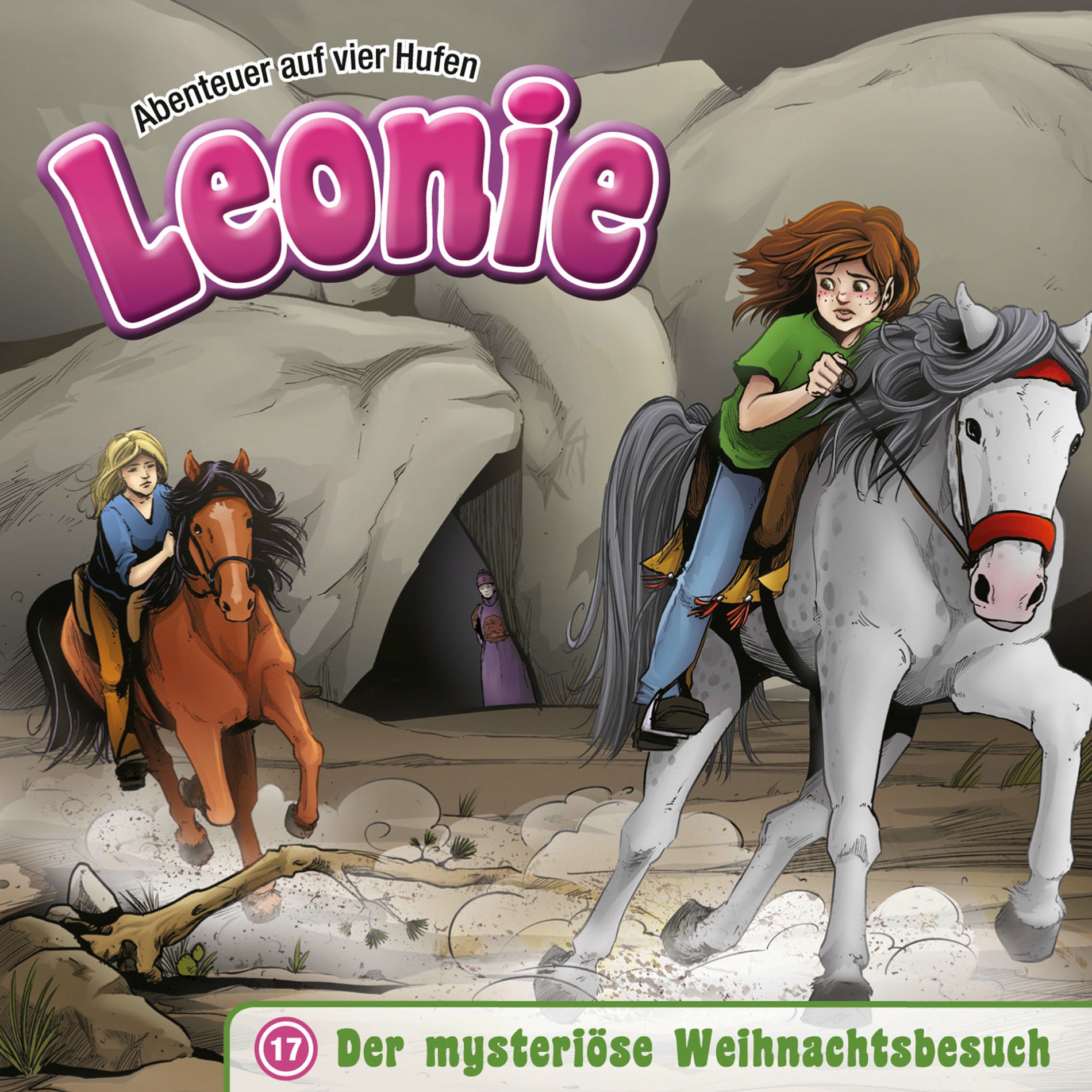 Album cover of 17: Der mysteriöse Weihnachtsbesuch