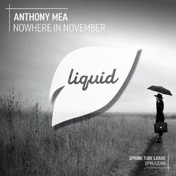 Cover of Nowhere in November