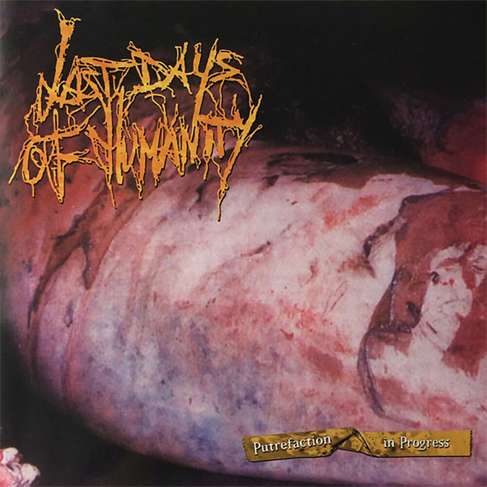 Picture of Putrefaction in Progress