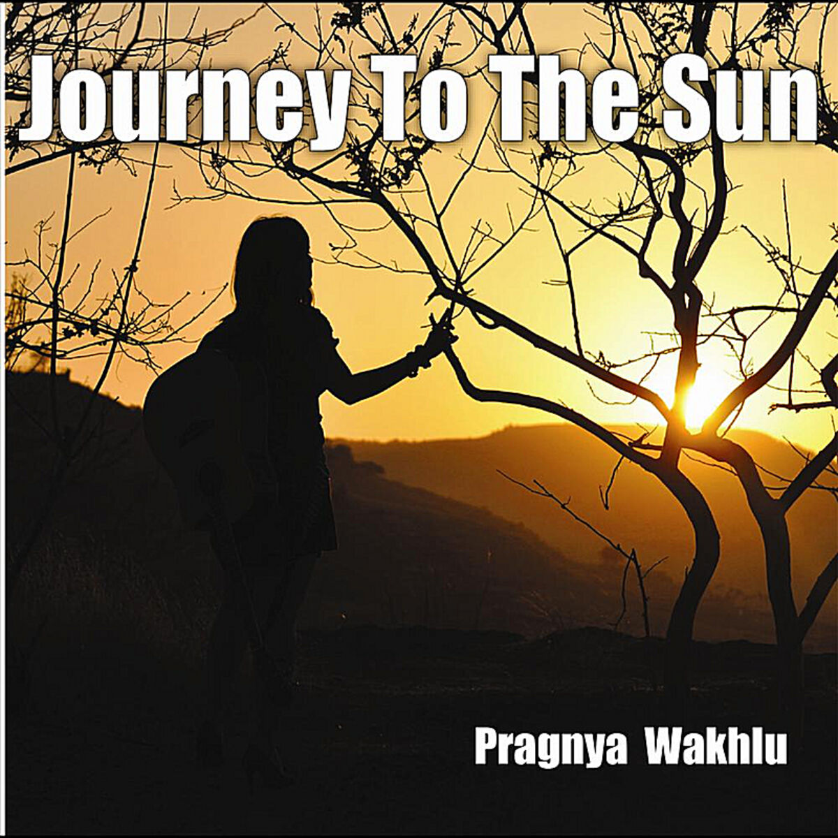 Album cover of Journey to the Sun