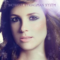 Cover of It Snowed