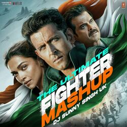 Cover of The Ultimate Fighter Mashup