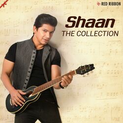 Cover of Shaan - The Collection