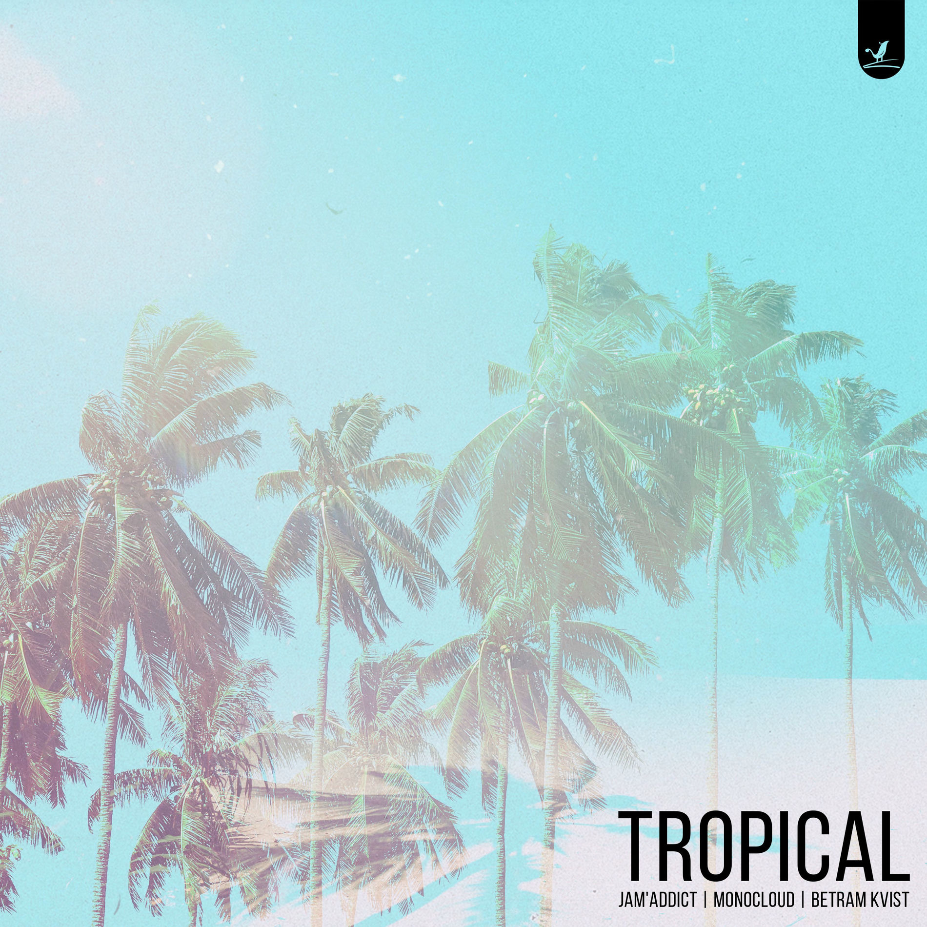 Album cover of Tropical