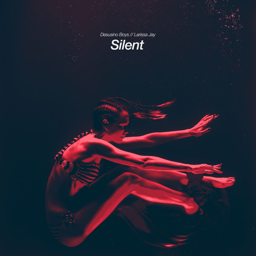 Picture of Silent