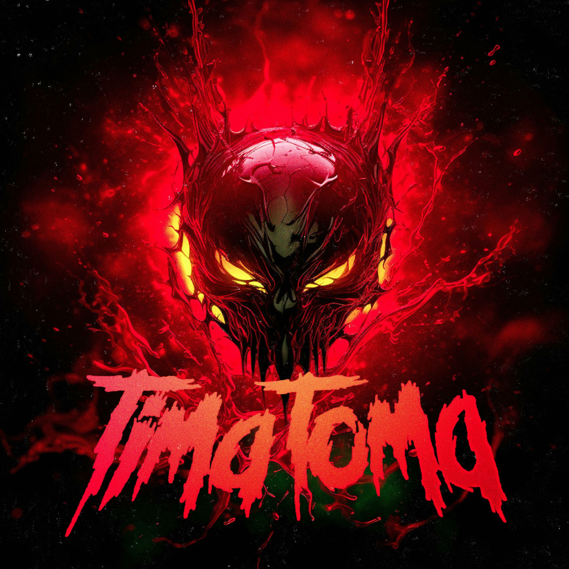 Album cover of Tima Toma