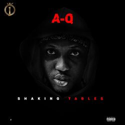 Cover of Shaking Tables
