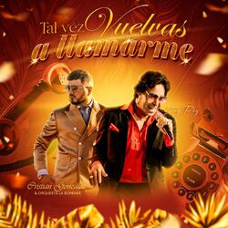 Cover of Tal Vez Vuelvas A Llamarme