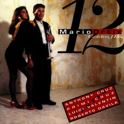 Cover of 12 Golden Hits