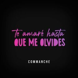 Cover of Te Amaré Hasta Que Me Olvides