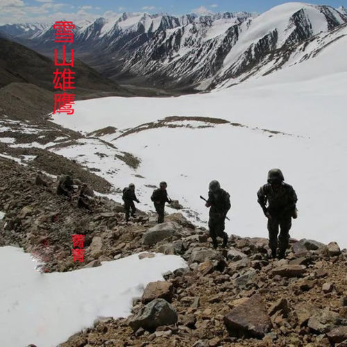 雪山雄鹰
