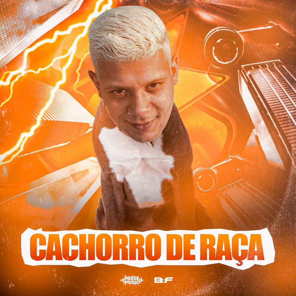 Picture of Cachorro de Raça