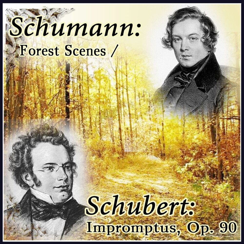 Picture of Vladimir Shakin - Schumann: Forest Scenes / Schubert: Impromptus, Op. 90 (MP3 Compilation)