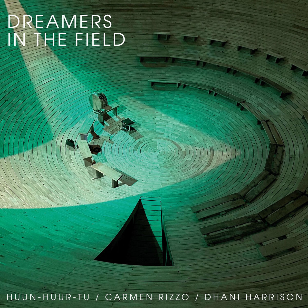 Album cover of Dreamers In The Field