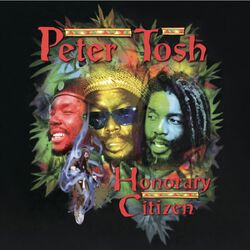 Cover of Honorary Citizen