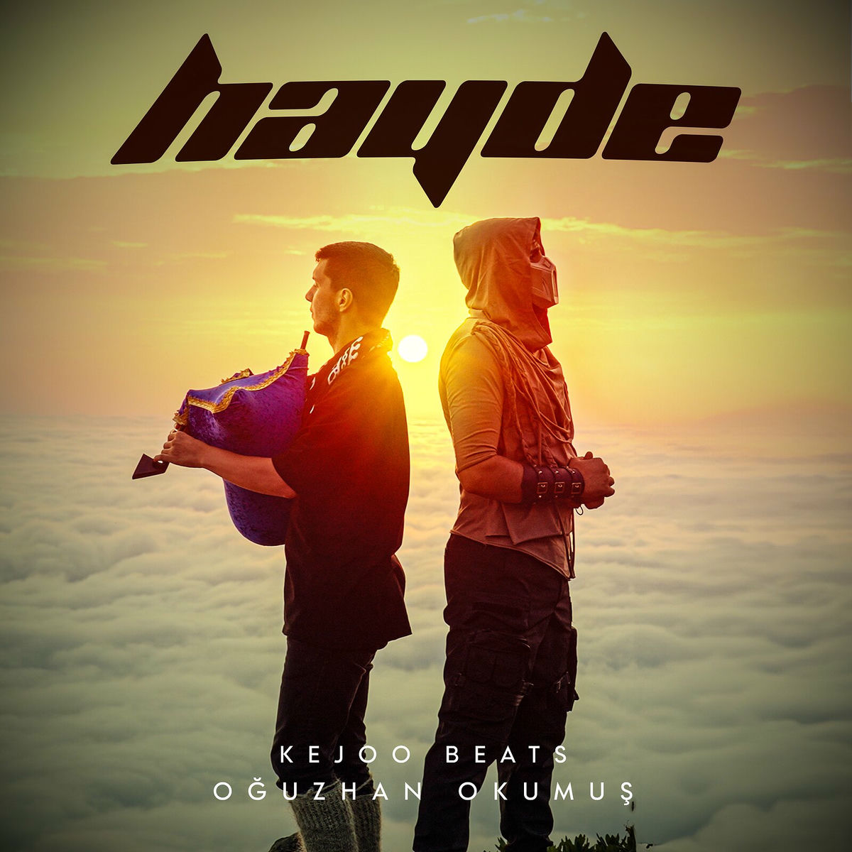Album cover of Hayde