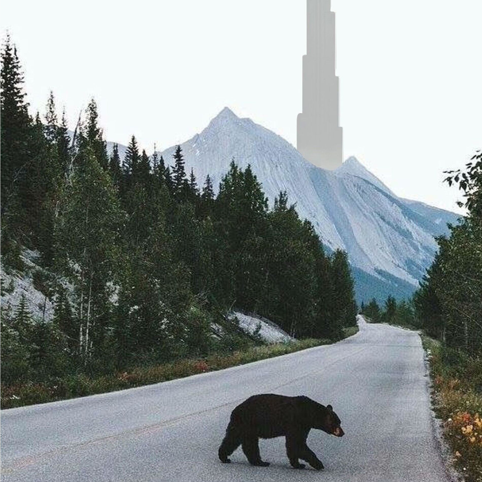 Album cover of Skyscraper (feat. Grandmasta DingDing, AyTee & DJ Disney Mousehole)