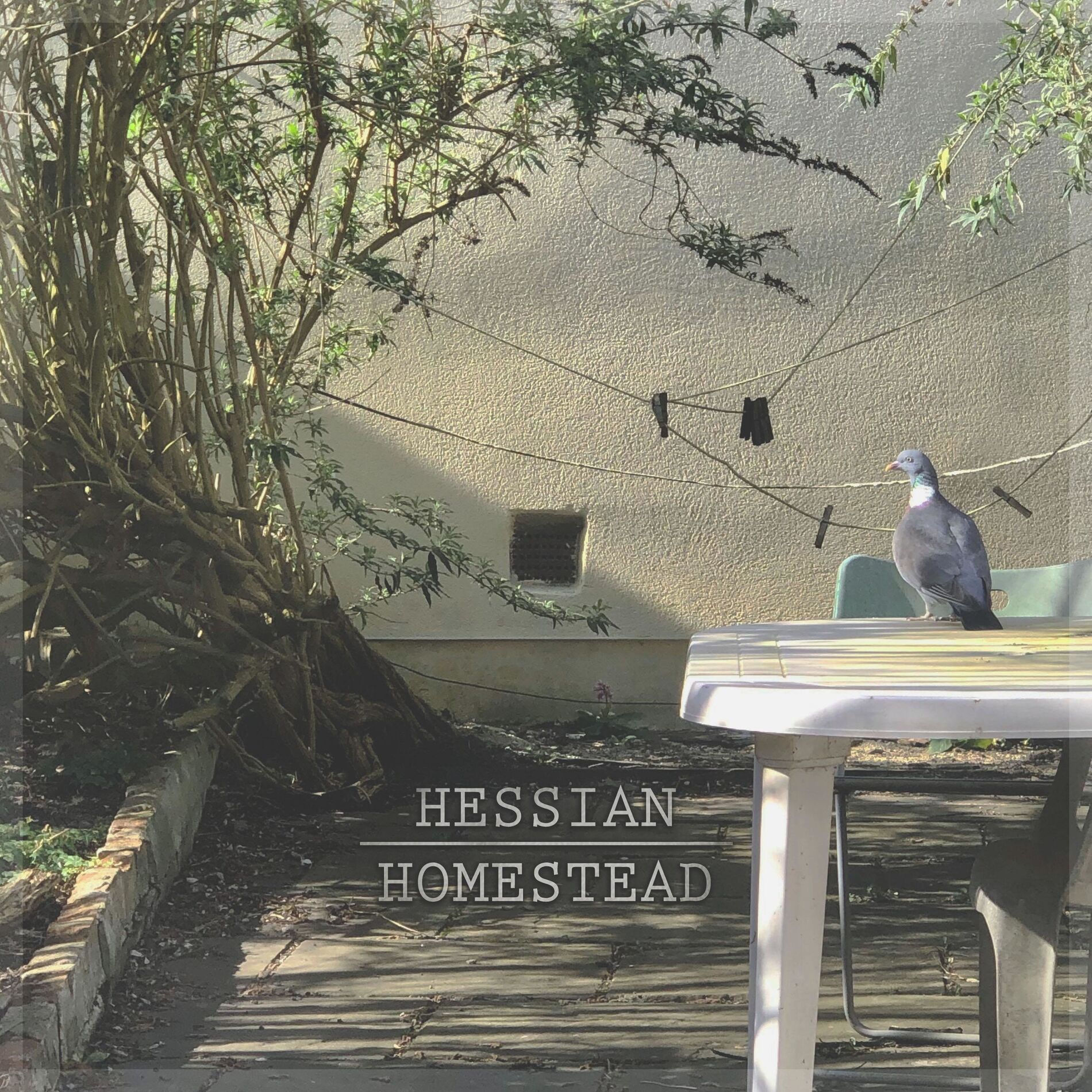 Album cover of Homestead