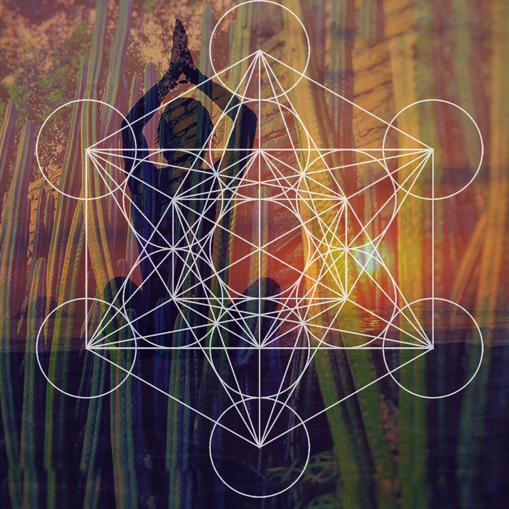 Picture of Follow the Sun