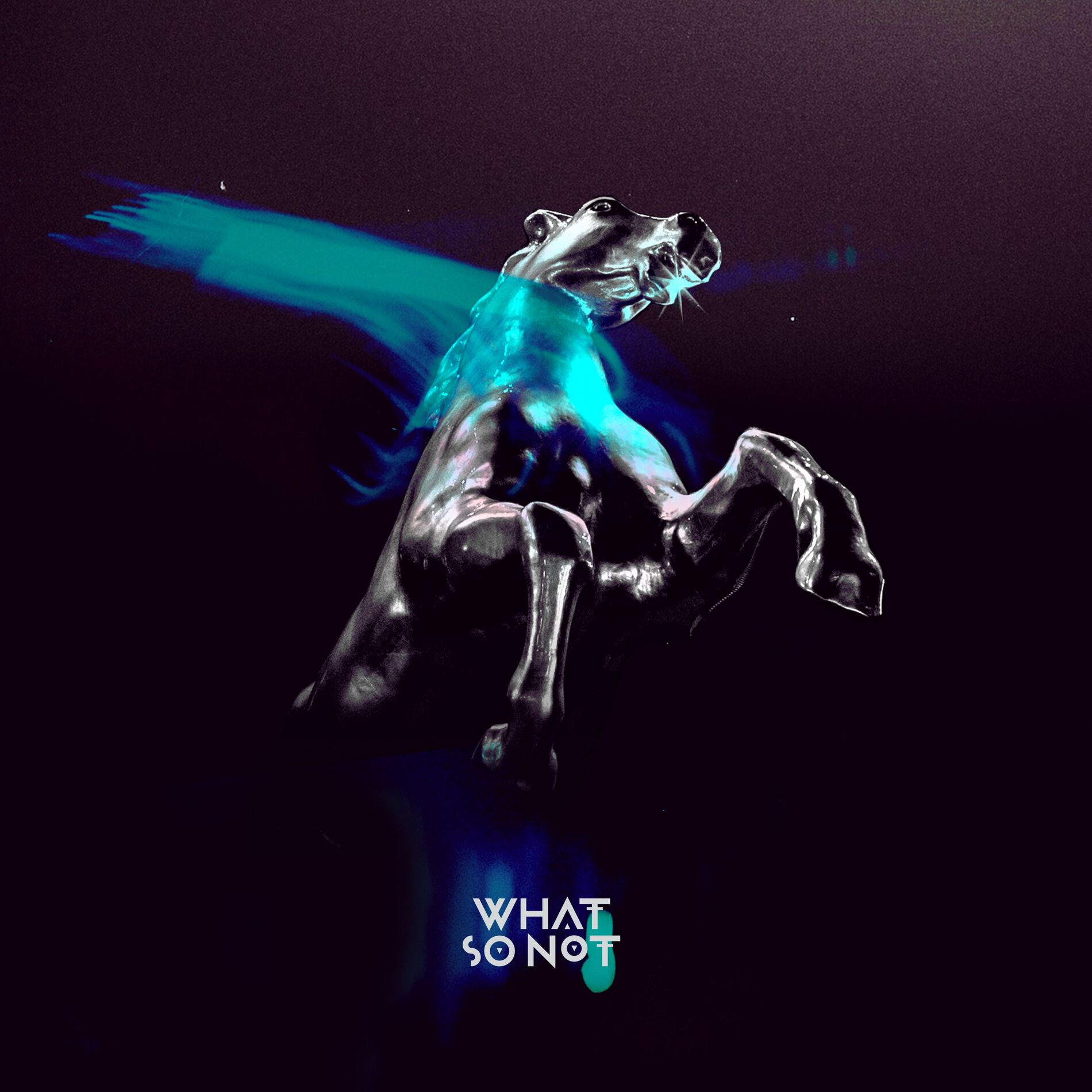 Album cover of Not All the Beautiful Things