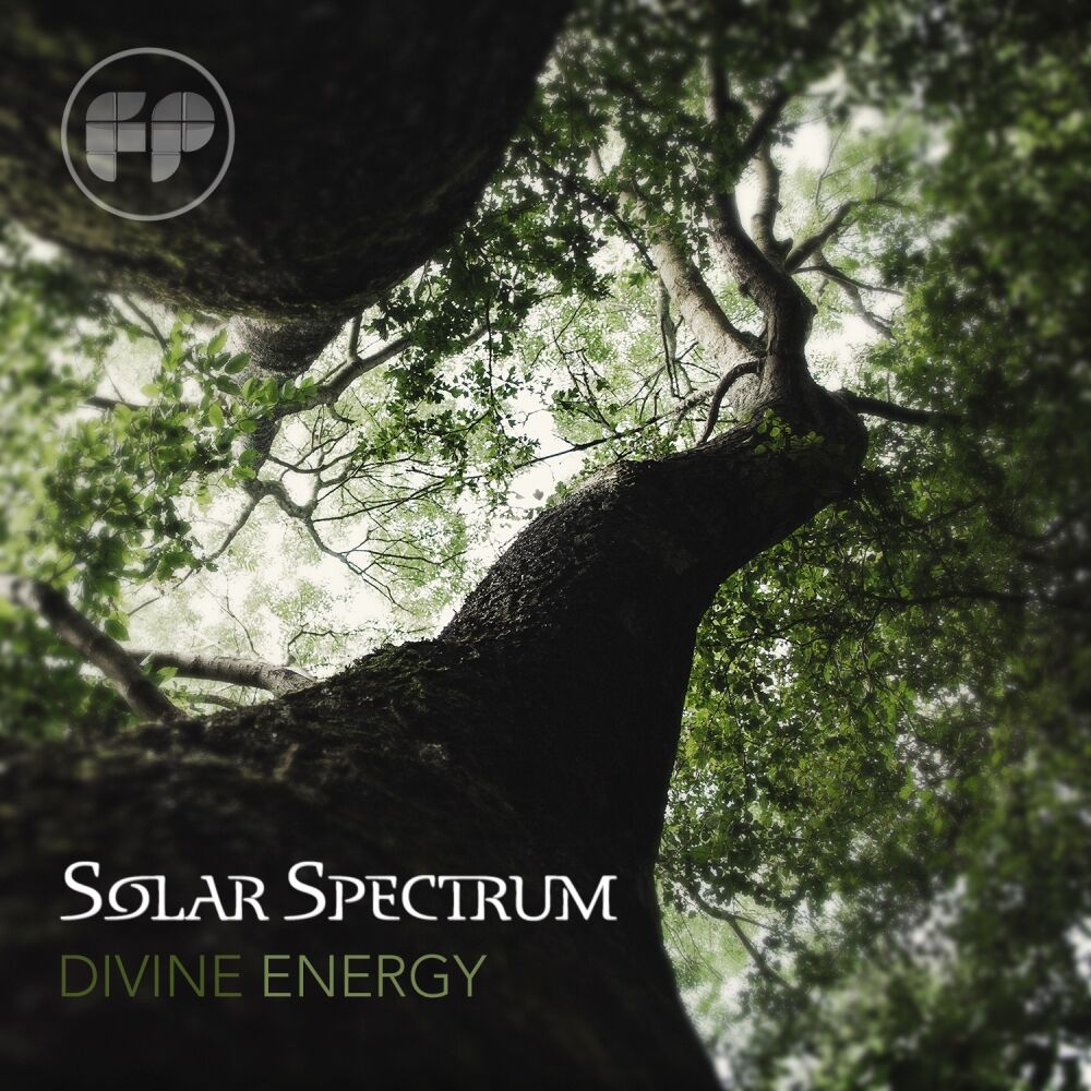 Picture of Divine Energy