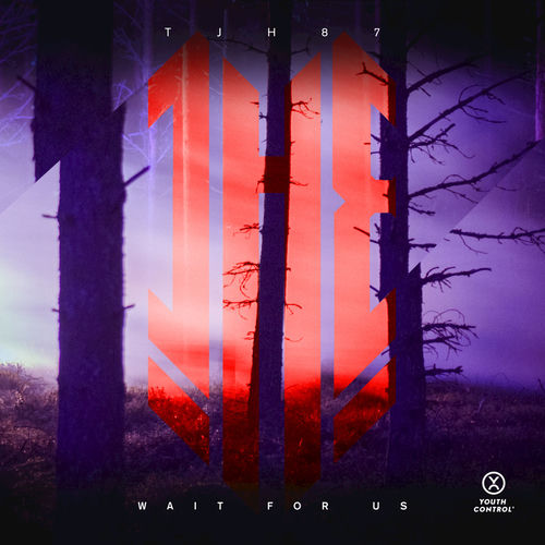Wait for Us artwork