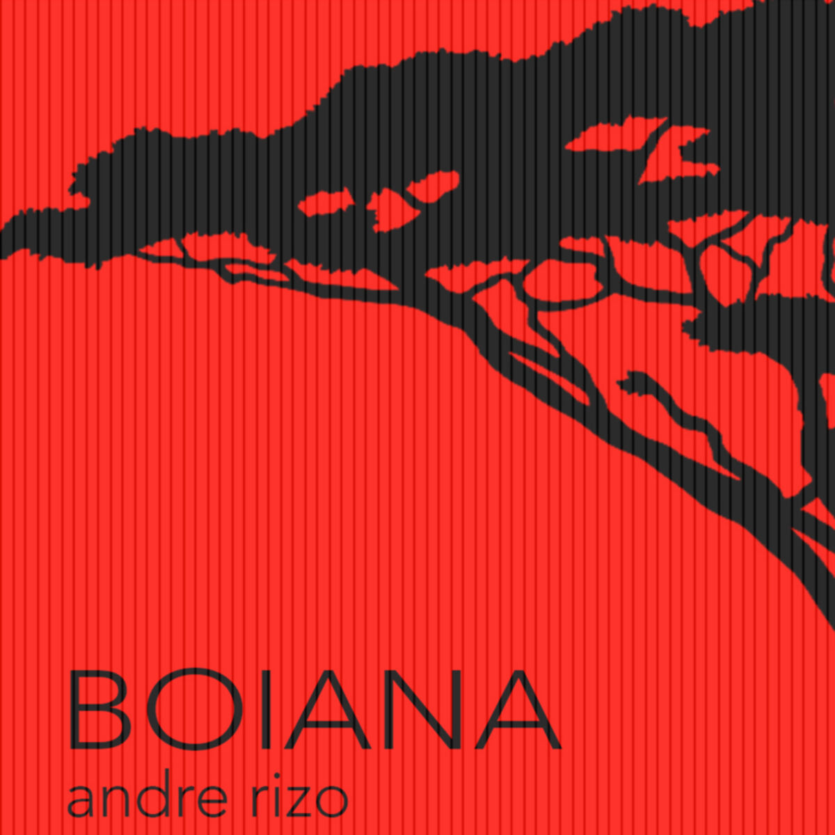 Album cover of Boiana