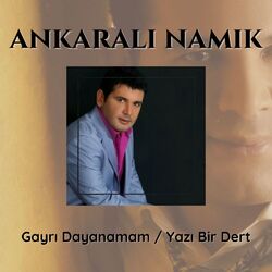 Cover of Gayrı Dayanamam / Yazı Bir Dert