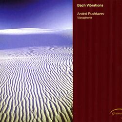 Cover of Bach Vibrations