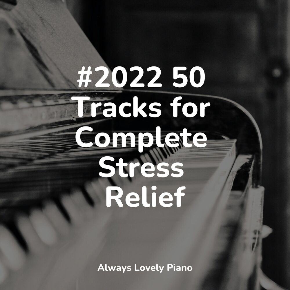 Picture of 50 Unforgettable Chillout Tracks to Relax to