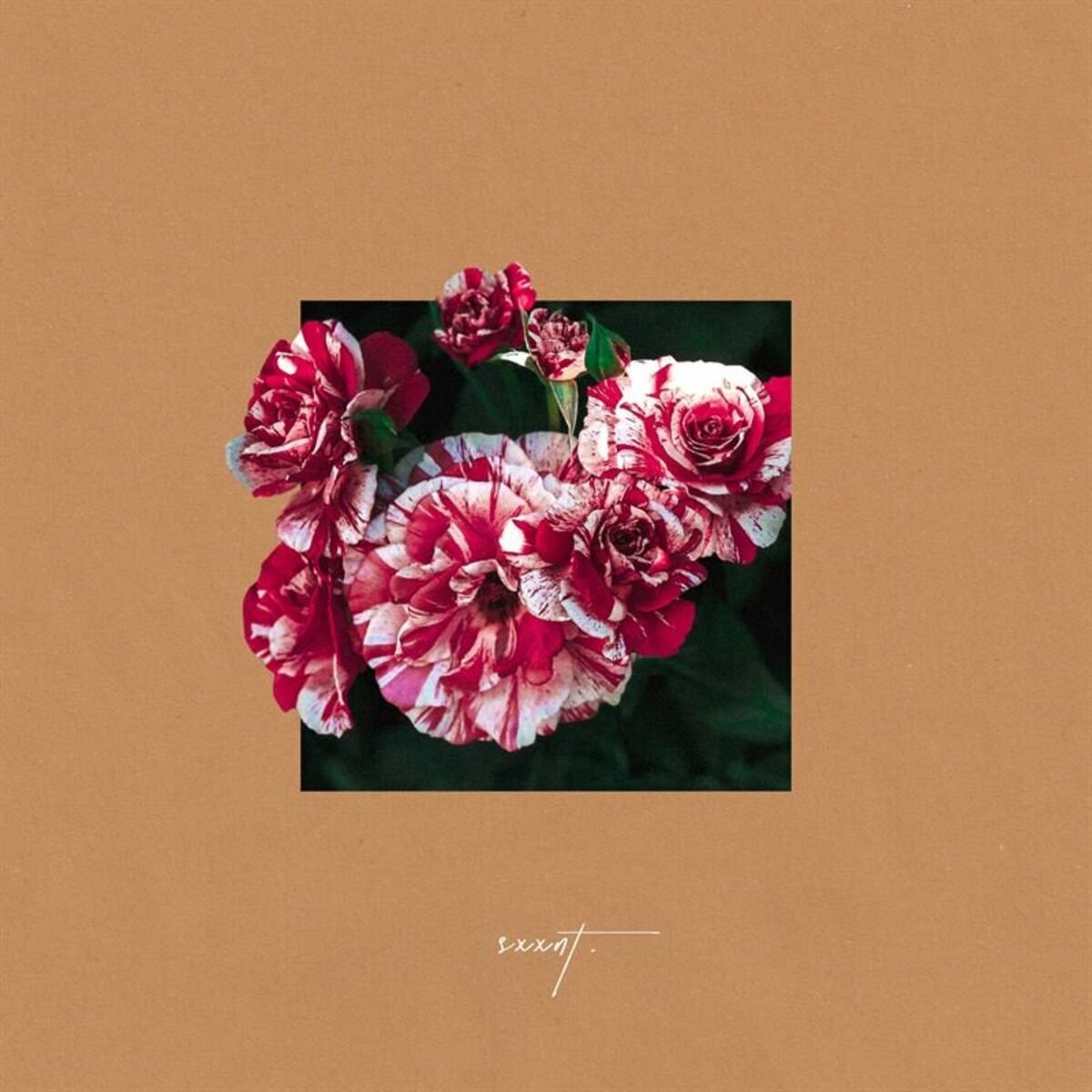Album cover of u brought heaven down