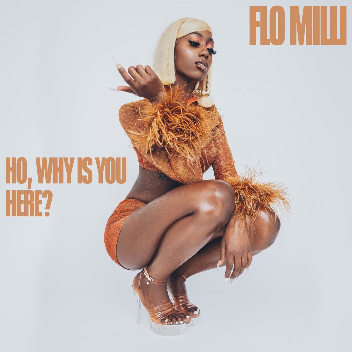 Album cover of In The Party
