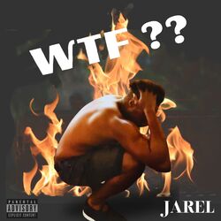 Cover of WTF??