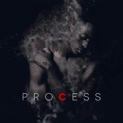 Cover of Process