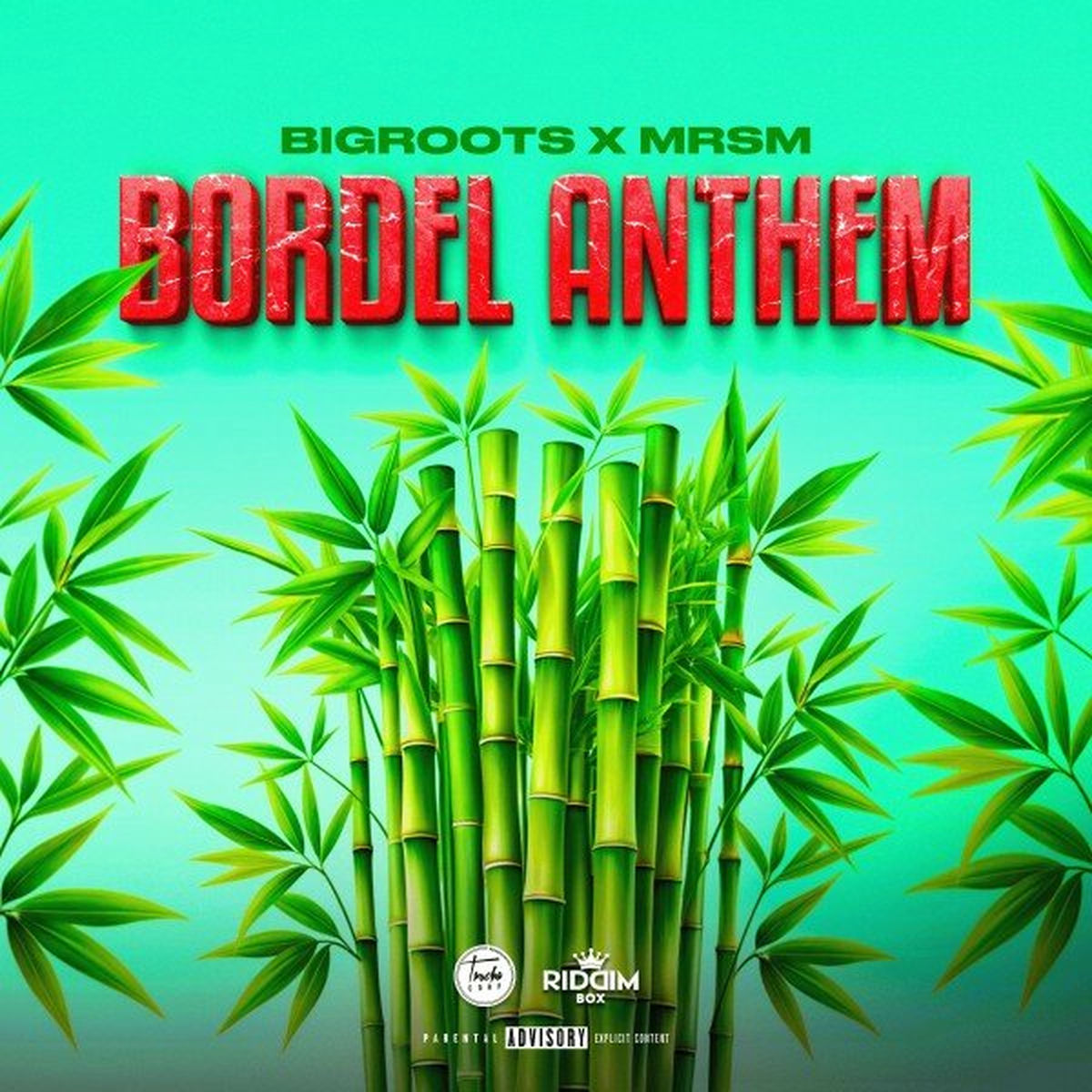Album cover of Bordel Anthem