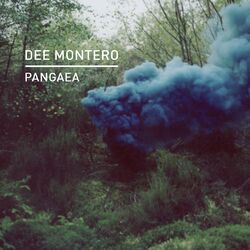 Cover of Pangaea