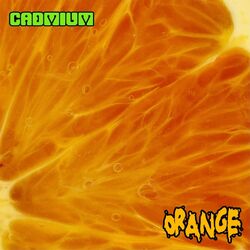 Cover of Orange