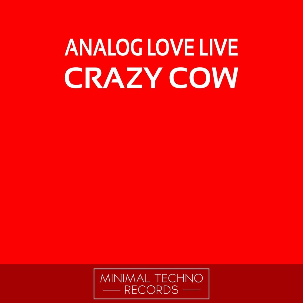 Picture of Crazy Cow