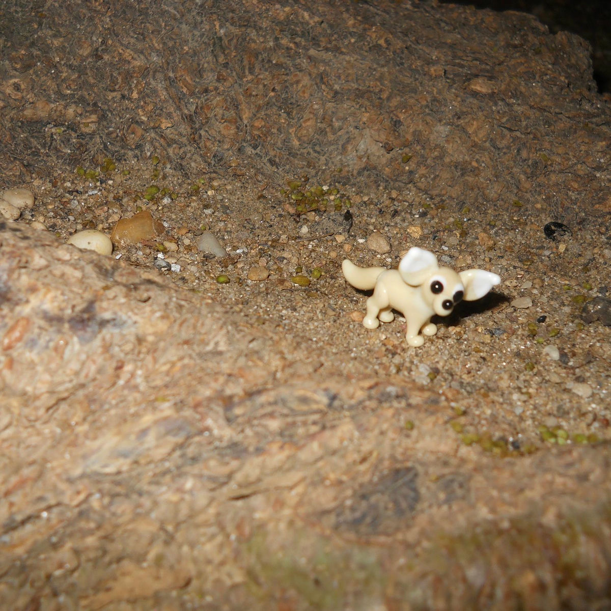 Album cover of Bird Bones